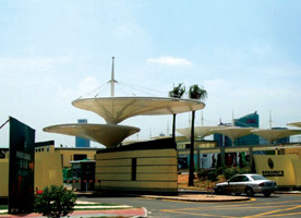 义马膜结构案例